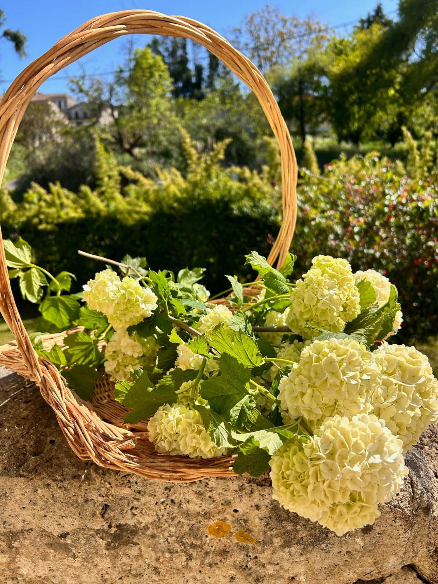 Les Ecrivains At Domaine Le Touran Near Saint Emilion Villa Pellegrue Eksteriør bilde